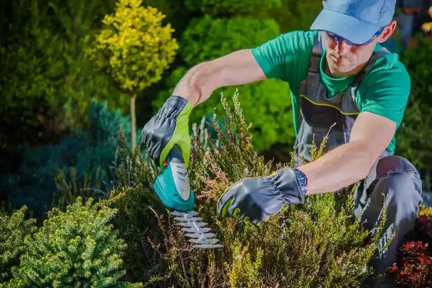 landscaping services Columbiana